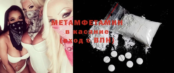 прущие грибы Сатка