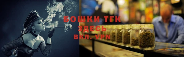 прущие грибы Сатка