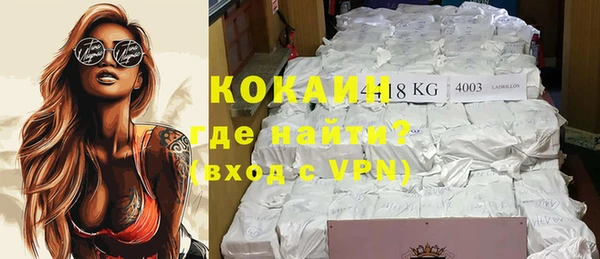 прущие грибы Сатка
