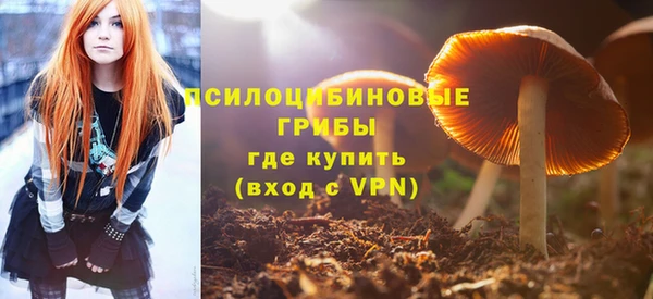 ECSTASY Абаза